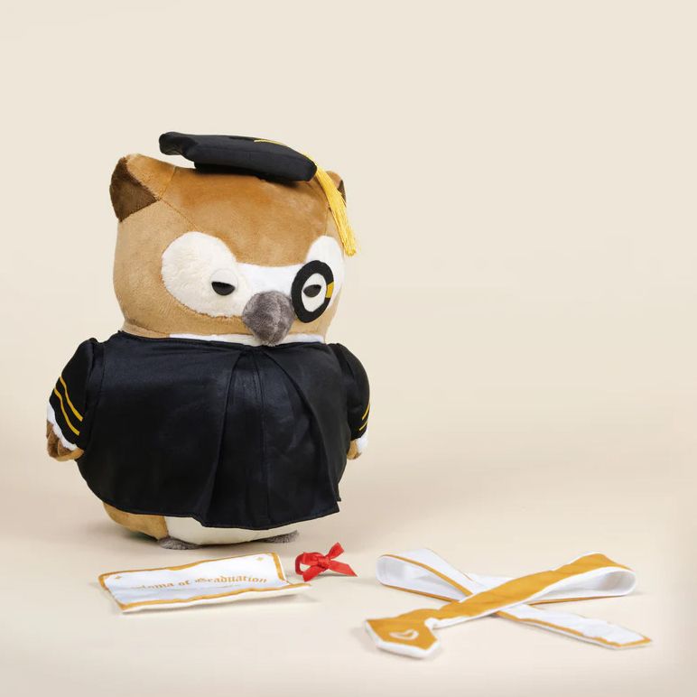 Graduation Owli | Paper Source