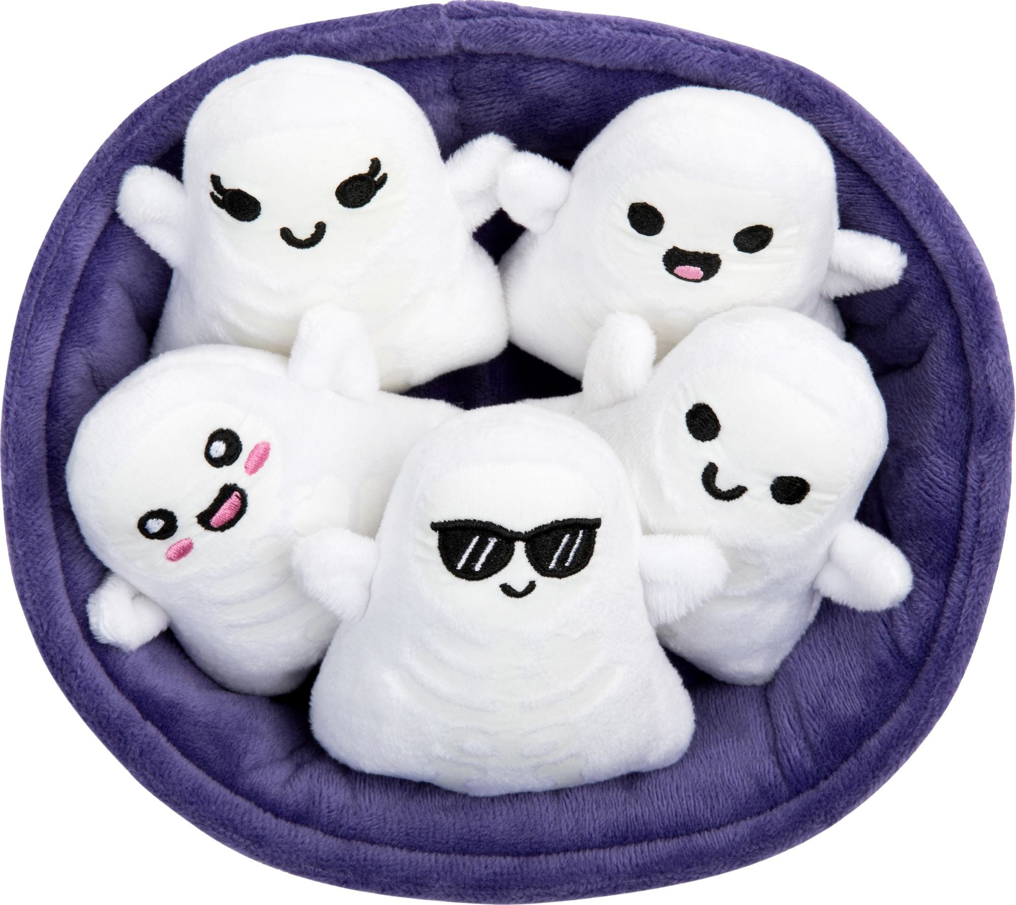 Emotional Support Ghosts