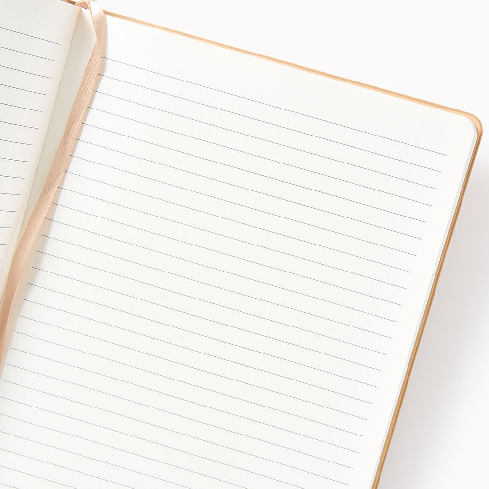 Sand Grid Paper Wasp LG Lined Journal