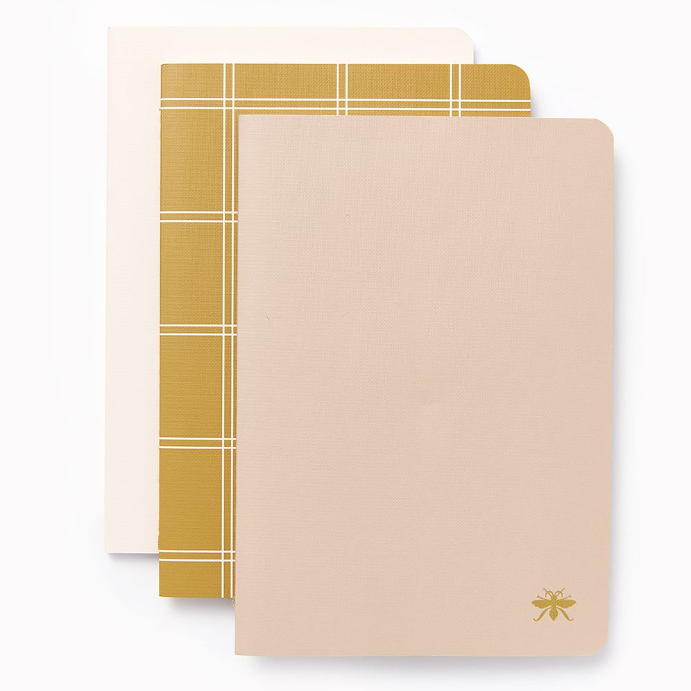 Sand Paper Wasp S/3 Notebooks | Paper Source