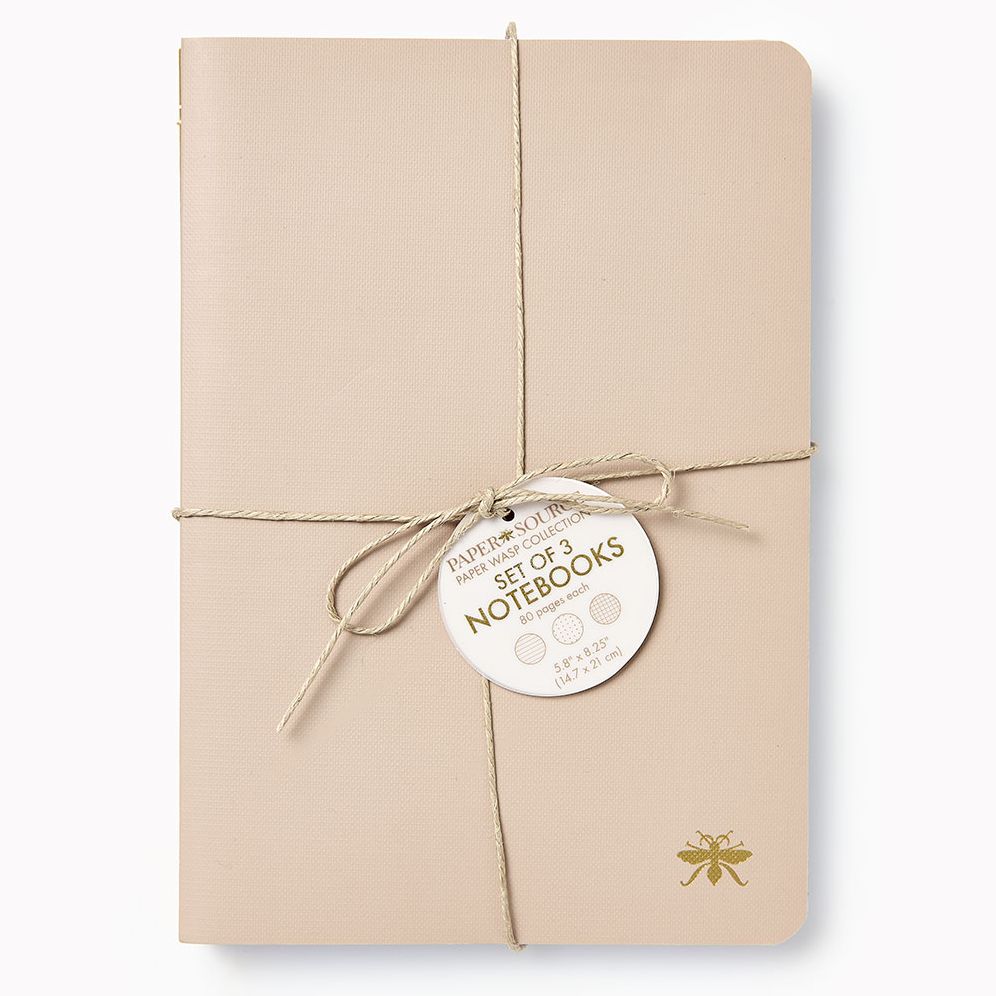 Sand Paper Wasp S/3 Notebooks