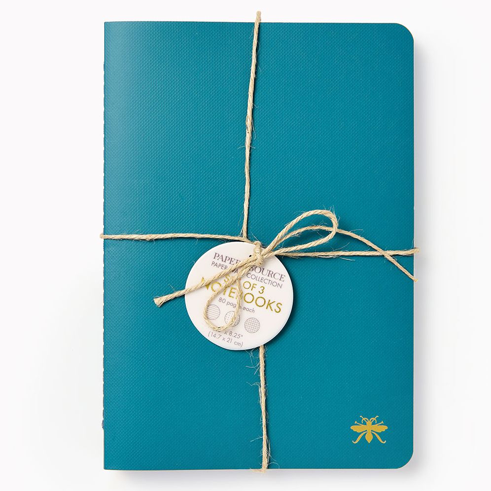 Teal Paper Wasp S/3 Notebooks