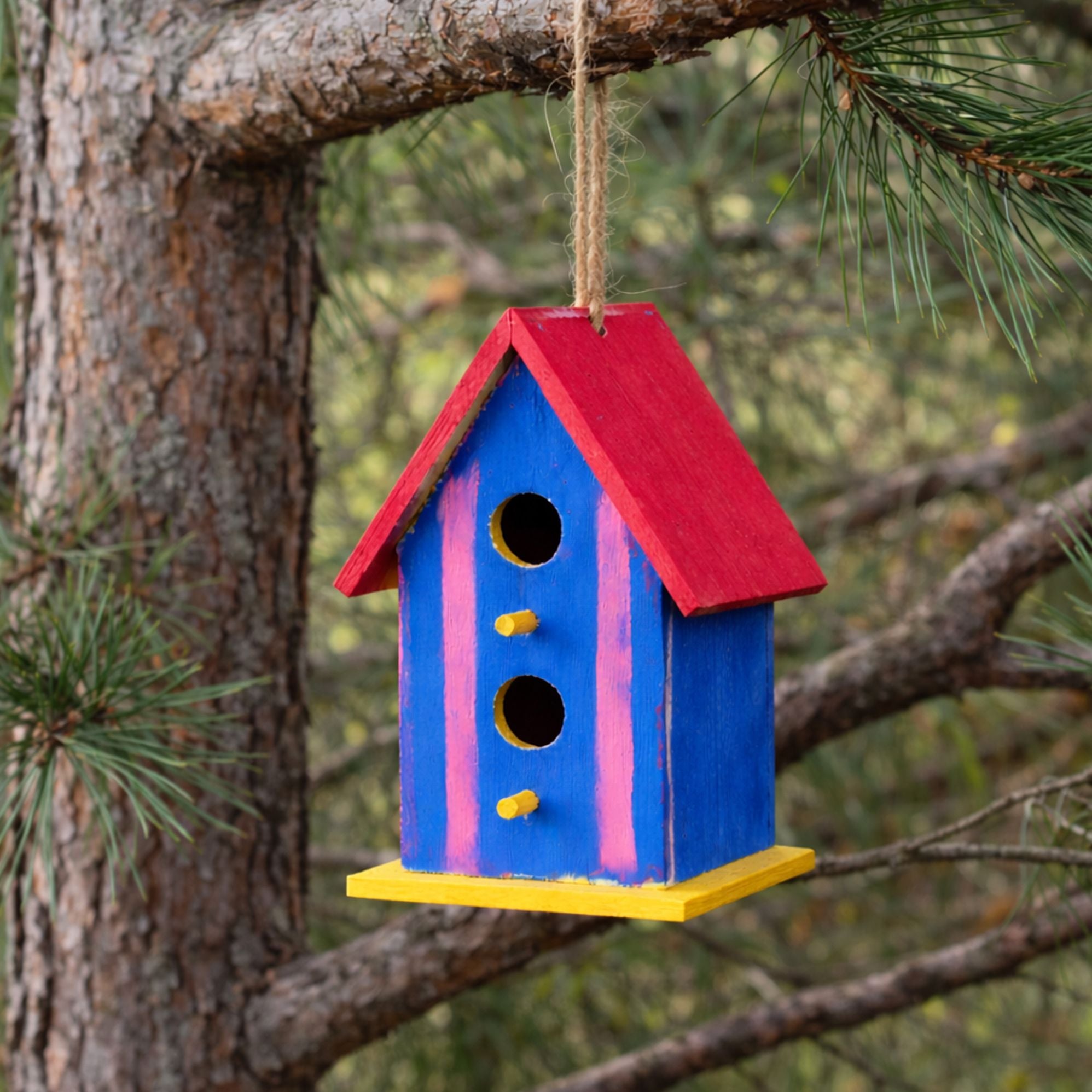 Paint a Birdhouse Kit