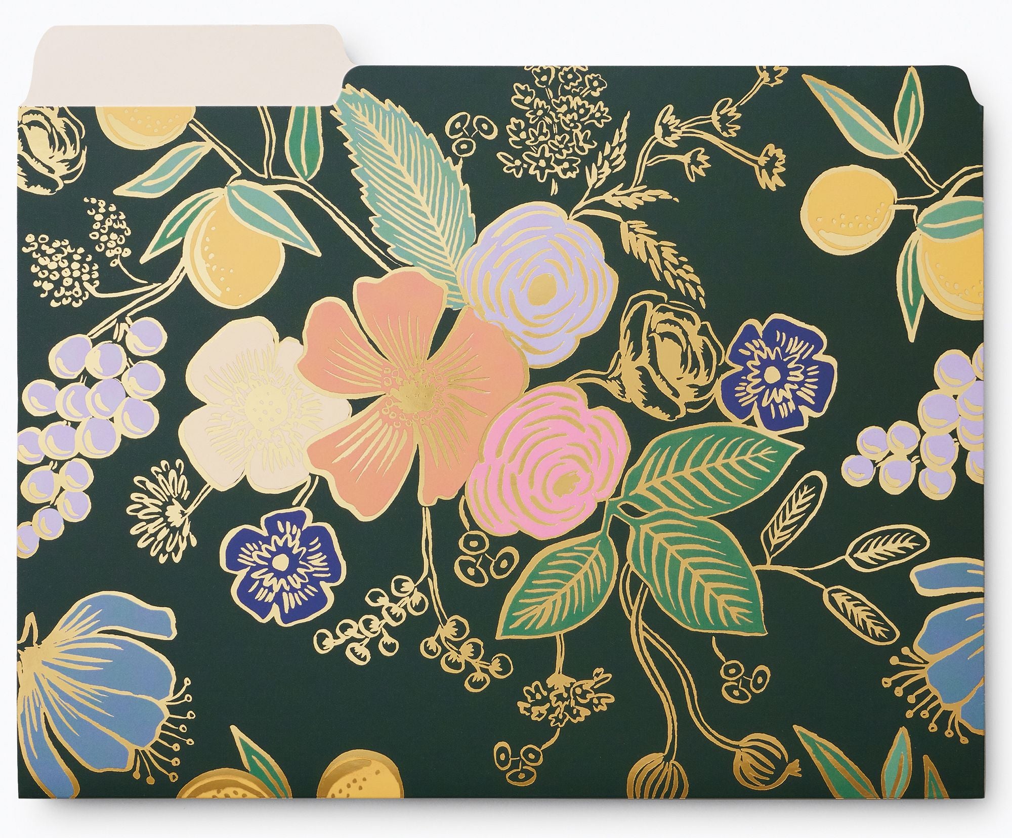 Rifle Paper Co. Colette File Folders | Paper Source