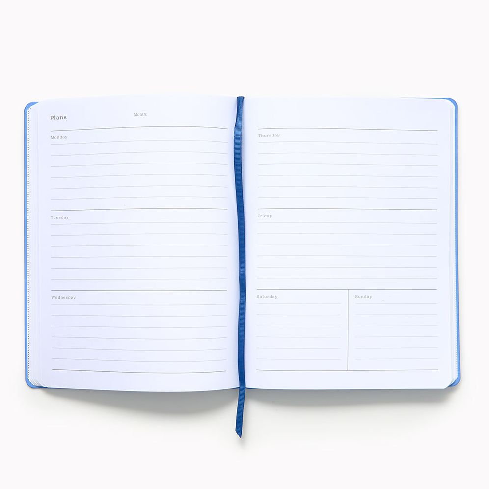 Periwinkle Paper Wasp Undated Planner LG