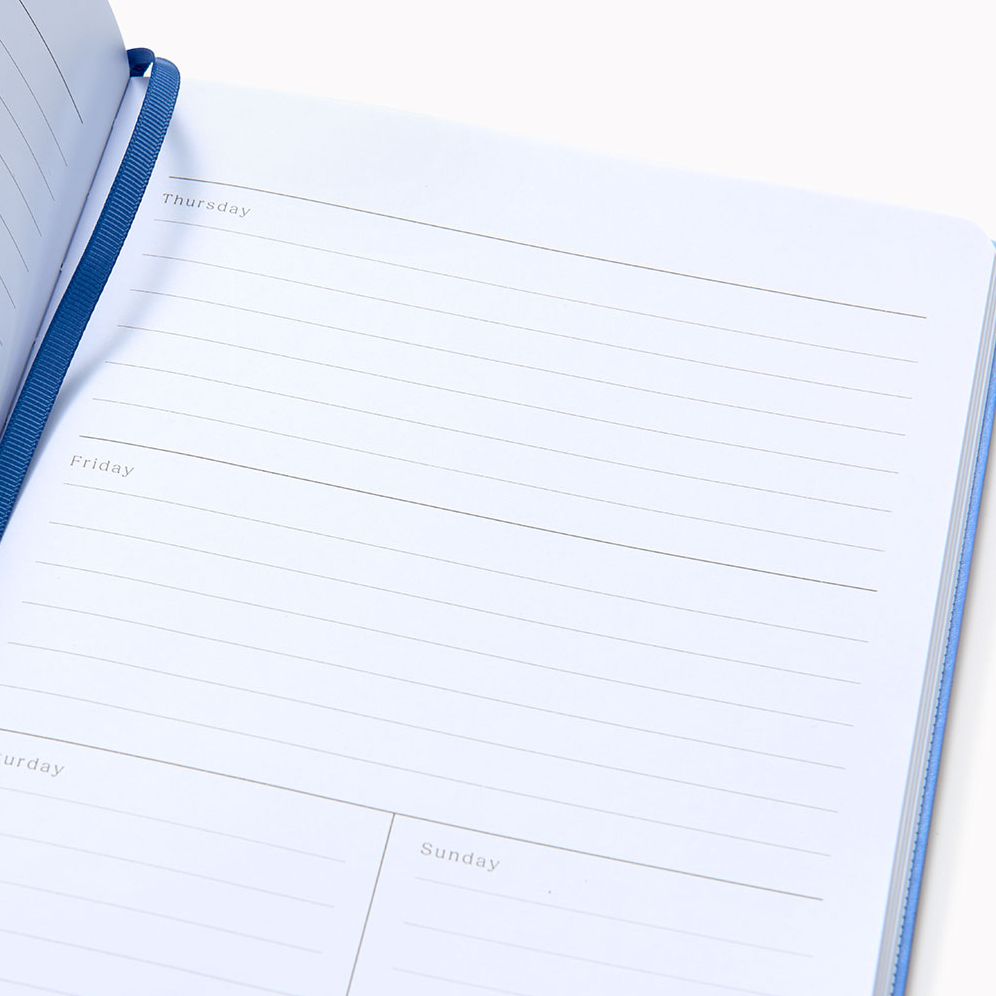 Periwinkle Paper Wasp Undated Planner LG