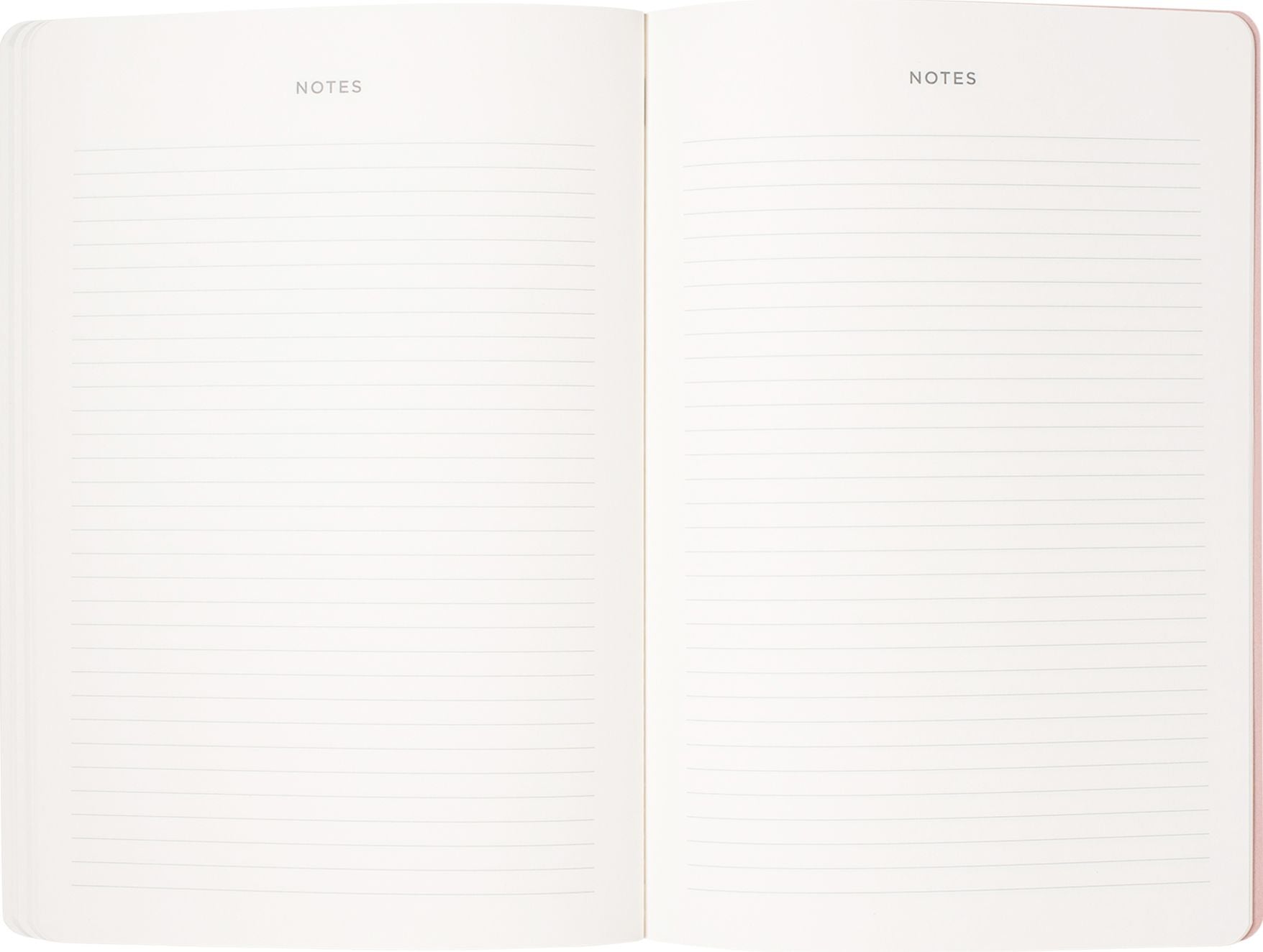 2026-2027 Libby Toile Monthly Desk Planner