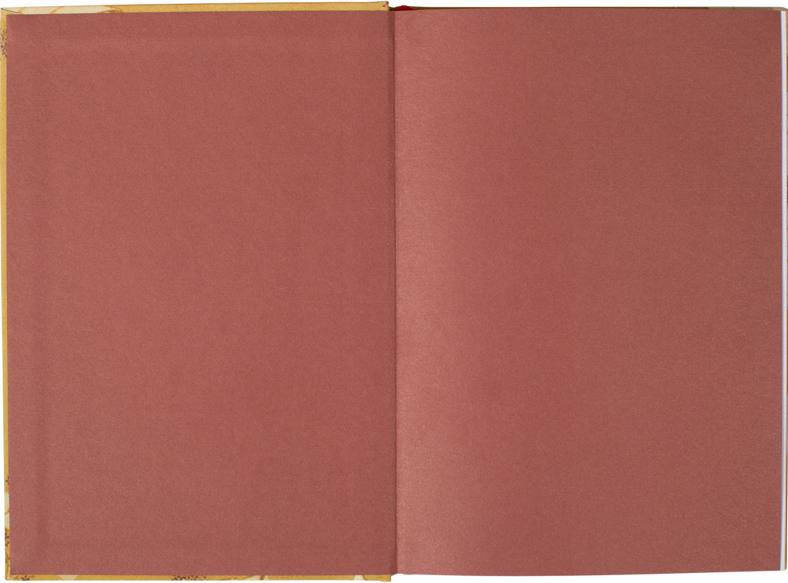 Ochre Floral Daily Undated Planner