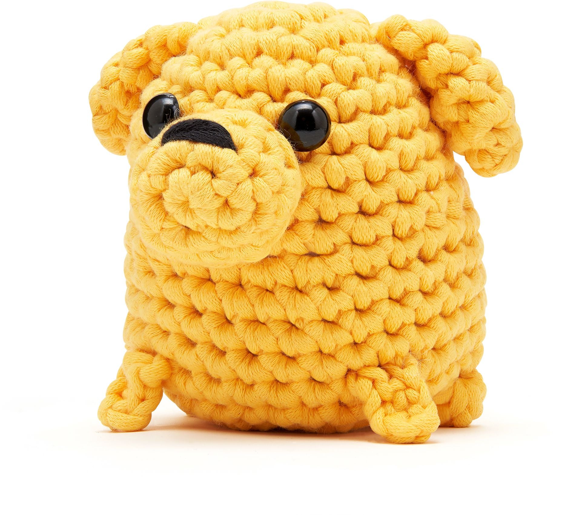 Buster the Labrador Learn to Crochet kit