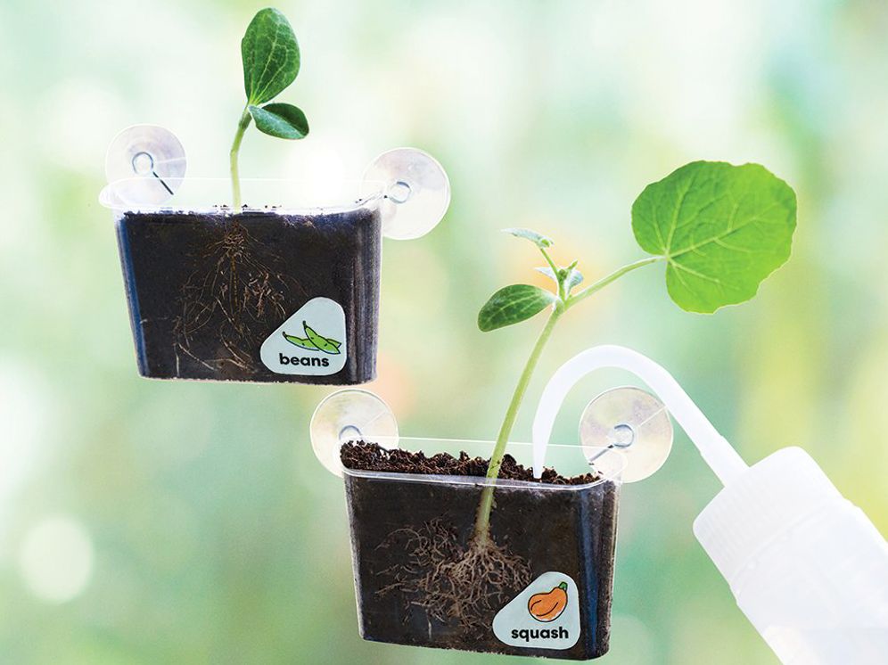 Window Garden