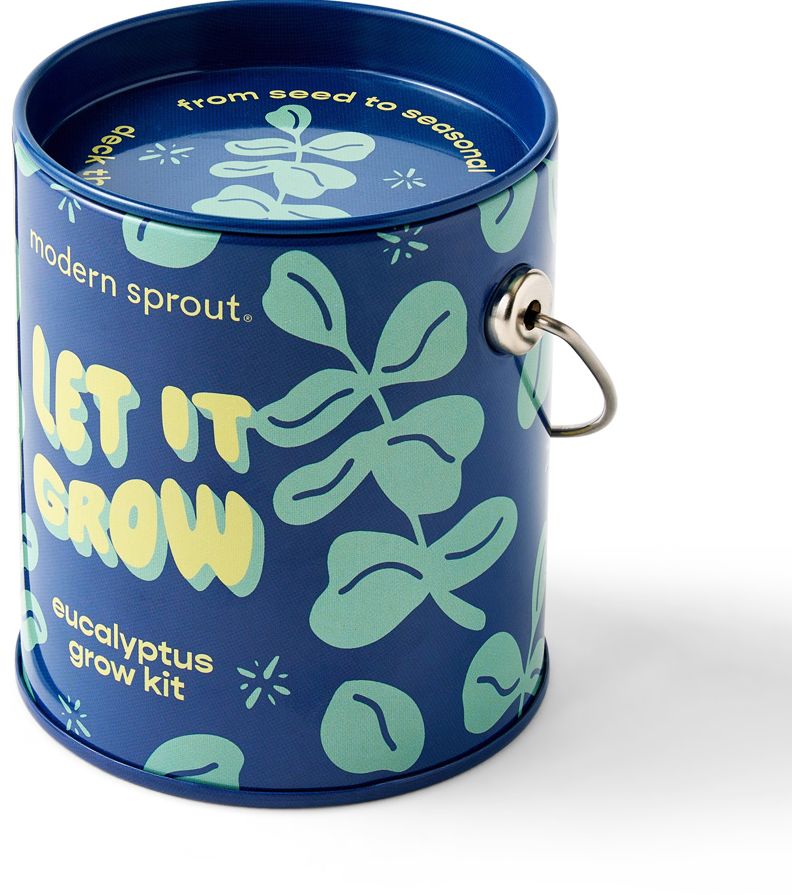 Complimentary Color Grow Kit - Let it Grow - Eucalyptus