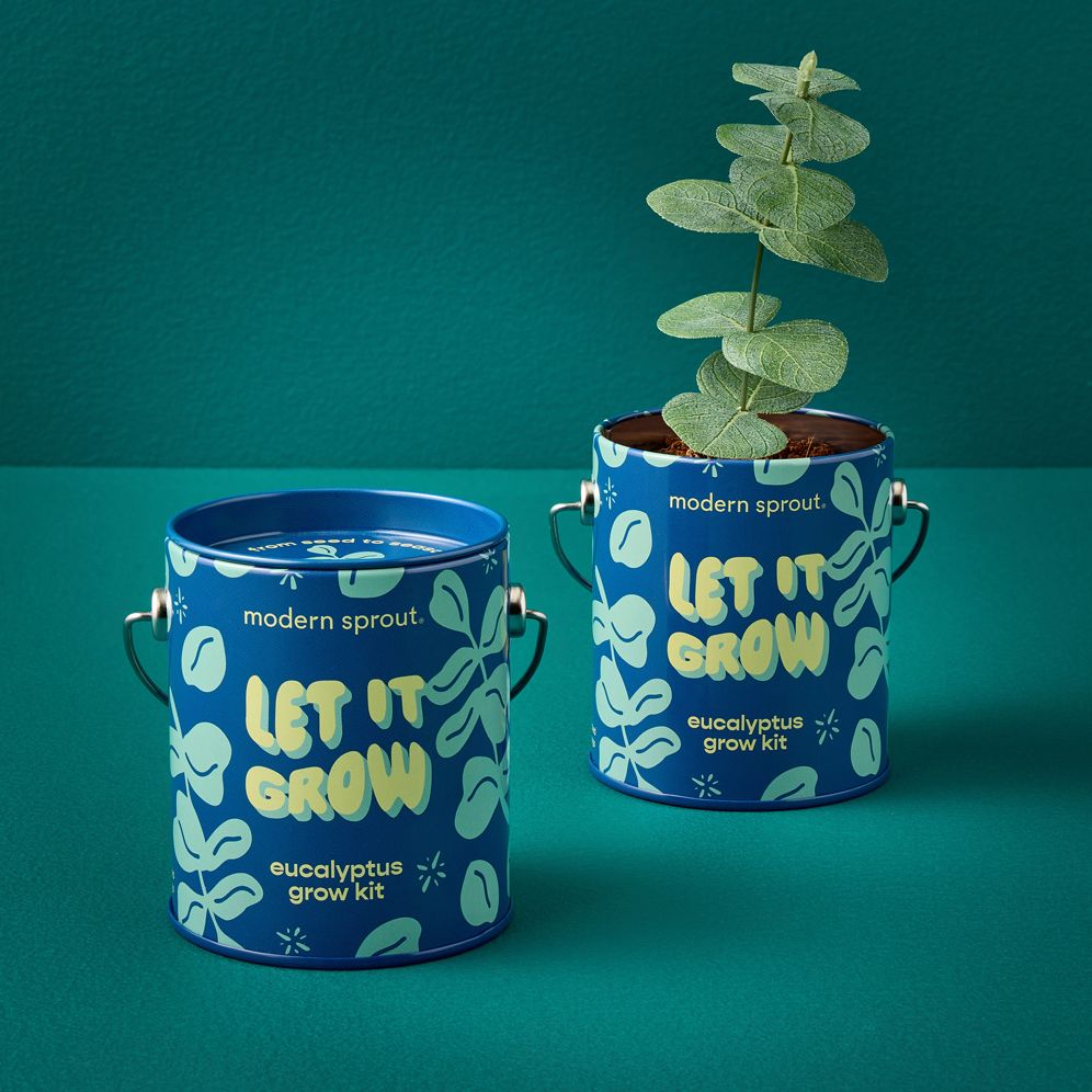 Complimentary Color Grow Kit - Let it Grow - Eucalyptus