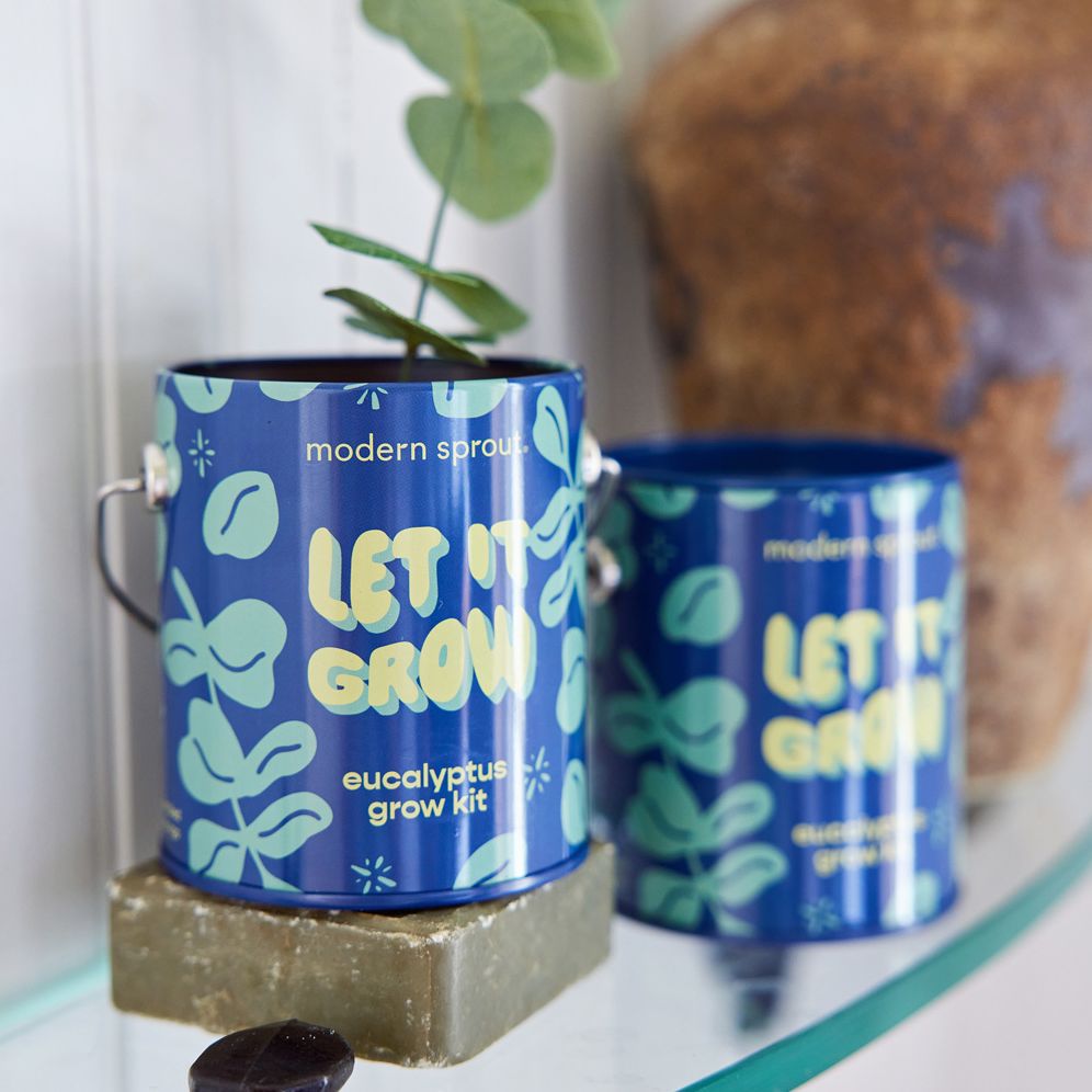Complimentary Color Grow Kit - Let it Grow - Eucalyptus