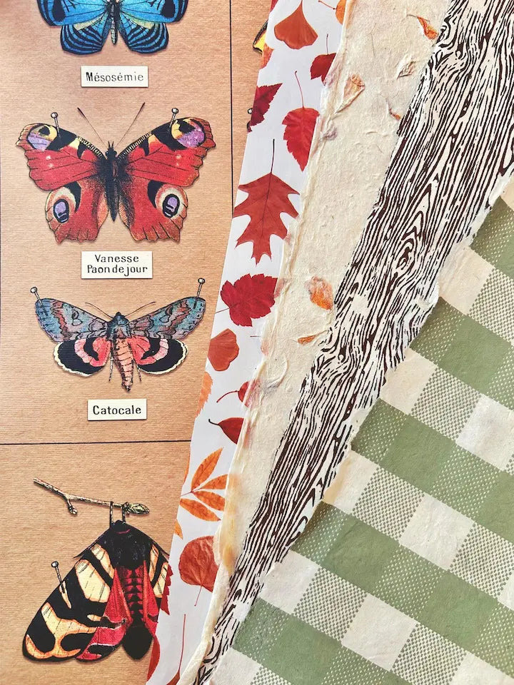 Variety of fall-themed fine paper.