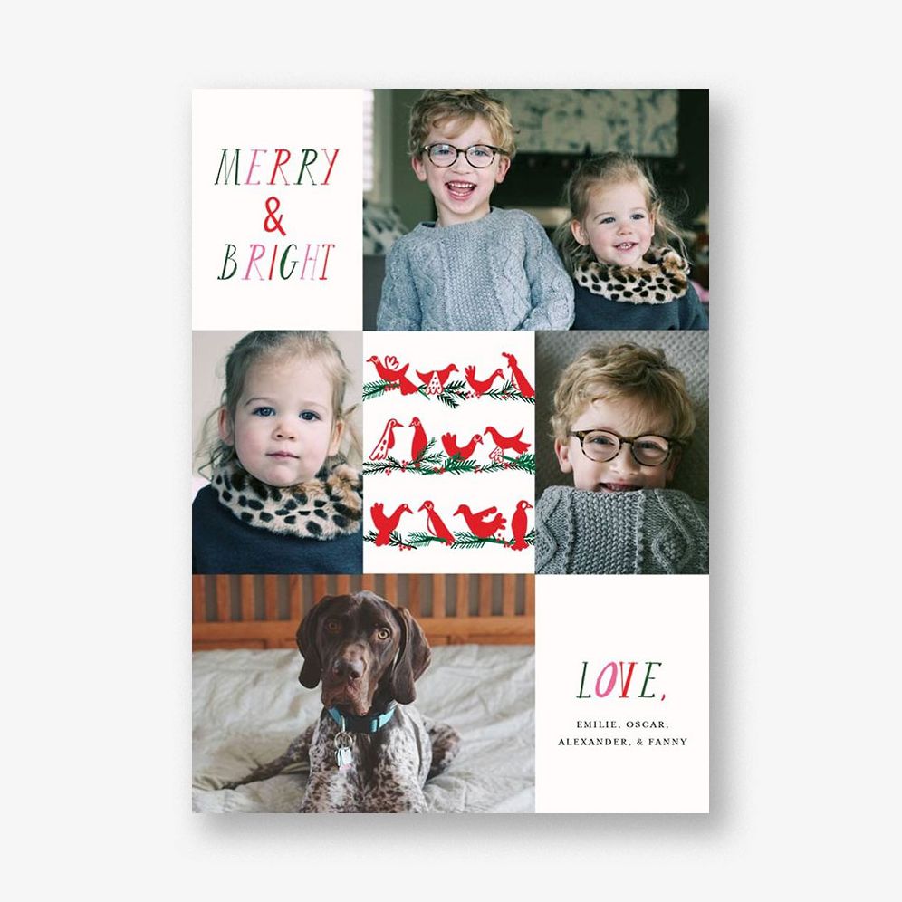 Peace Birds Multi Photo Card A7 FLT V