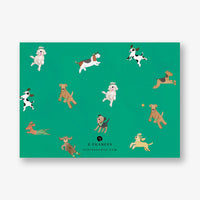 Off Leash Stationery