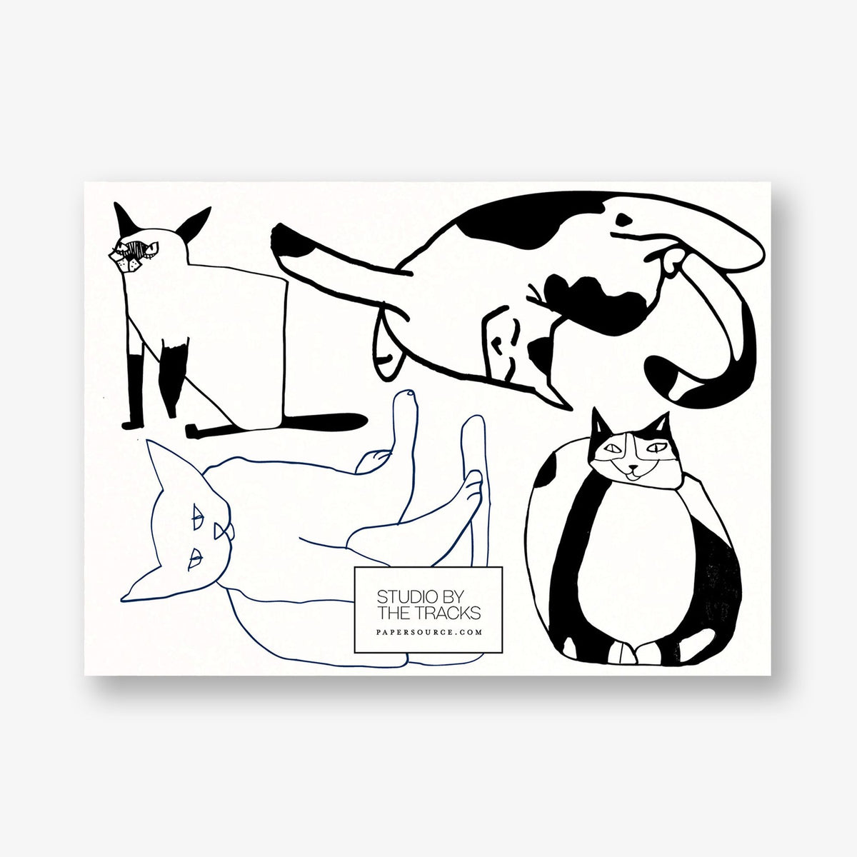 Lotsa Cats Stationery