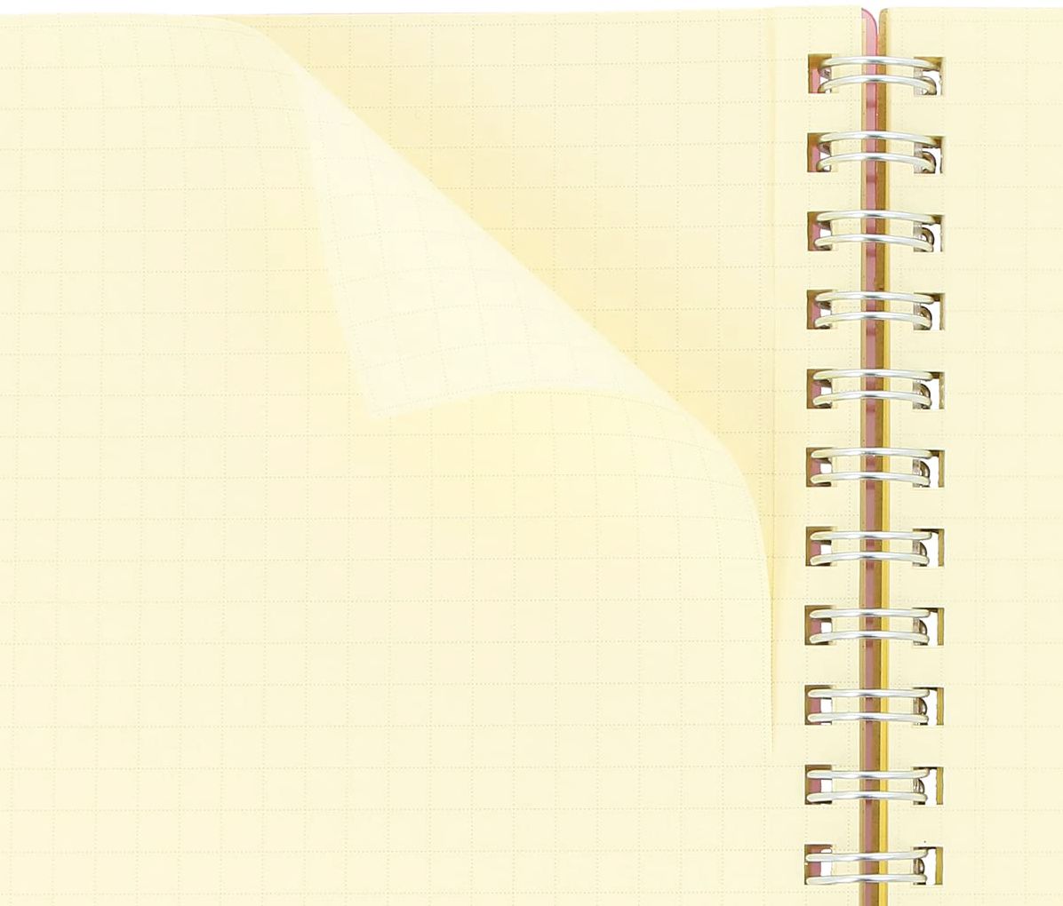 Delfonics CLEAR Blue Large Rollbahn Notebook