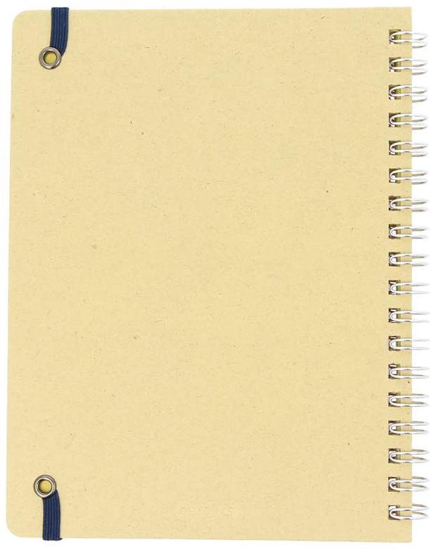 Delfonics CLEAR Blue Large Rollbahn Notebook