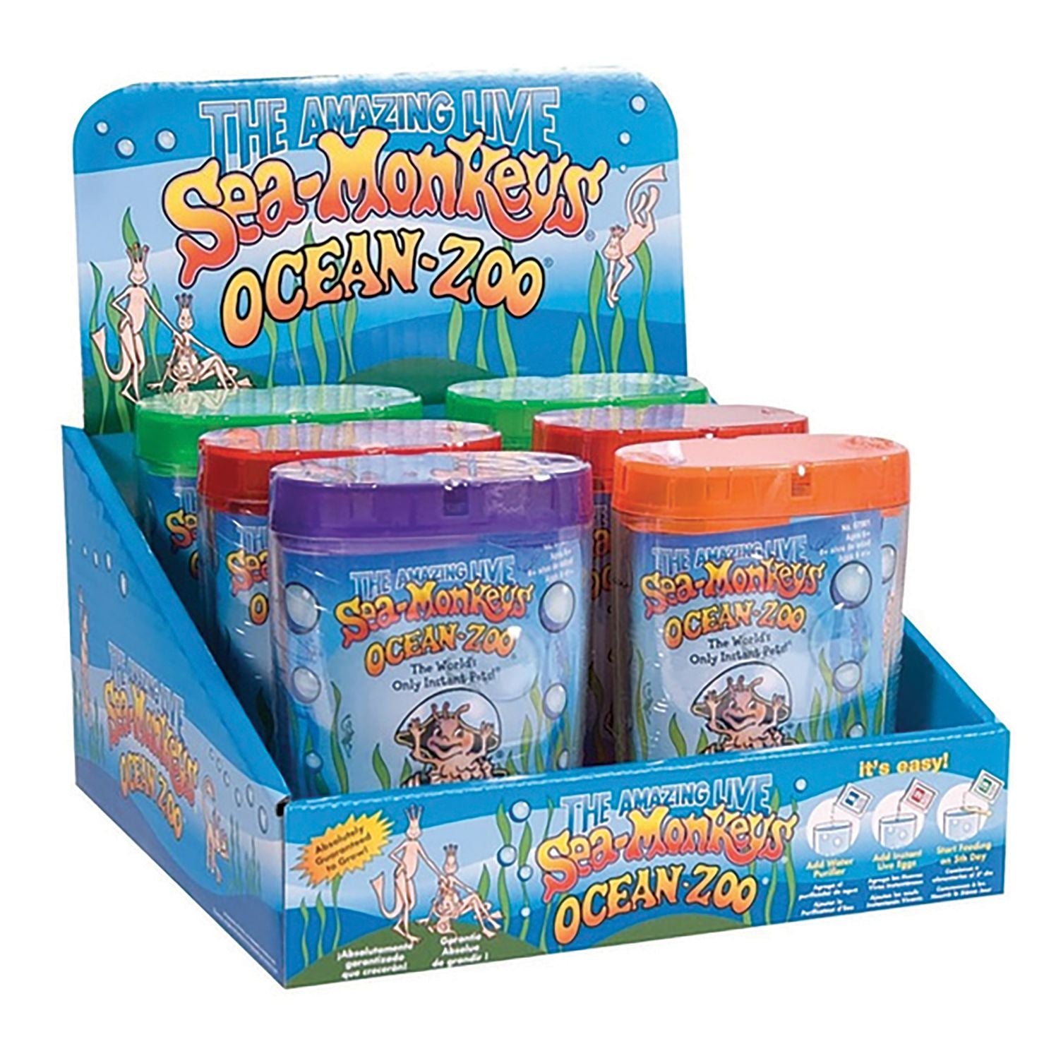 Sea Monkey Ocean Zoo Assorted PDQ