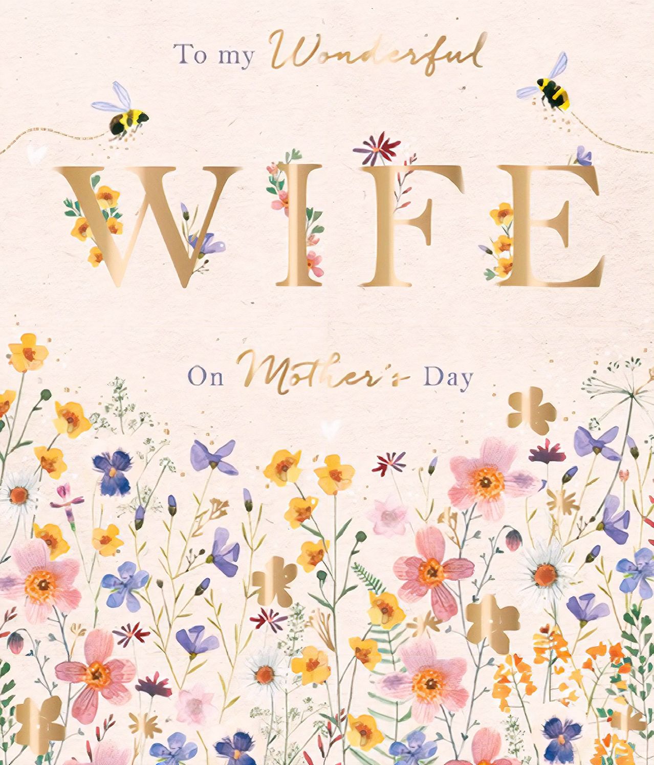 Mother's Day Greeting Card Wonderful Wife