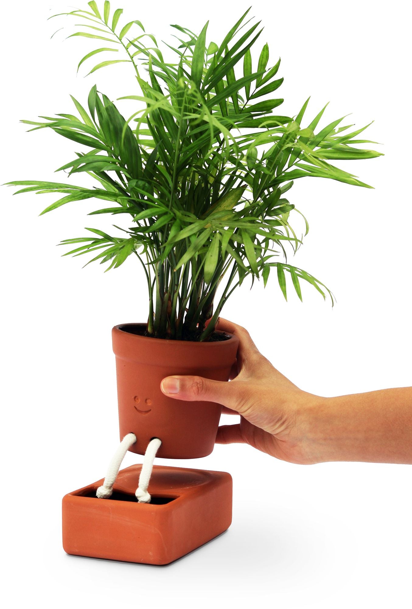 Self Care Planter