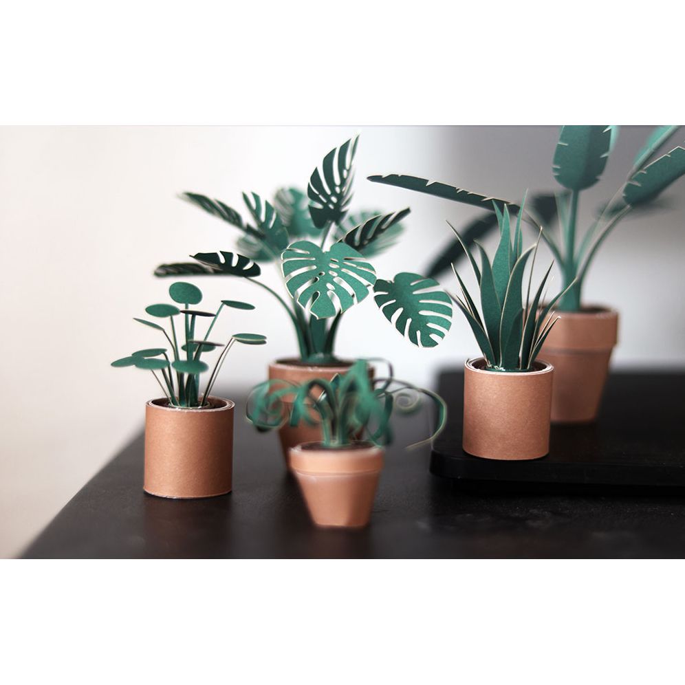 plants paper Paper Plants