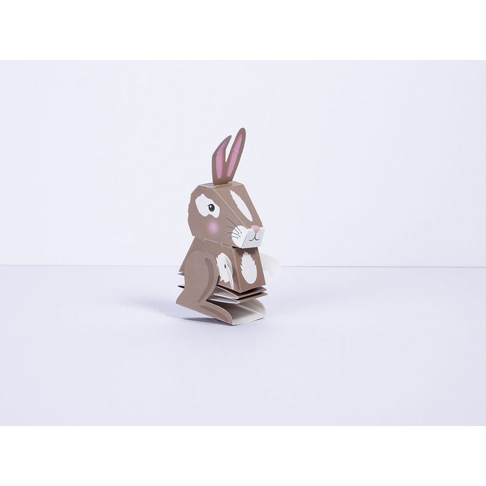Build Your Own Bouncing Bunny Kit