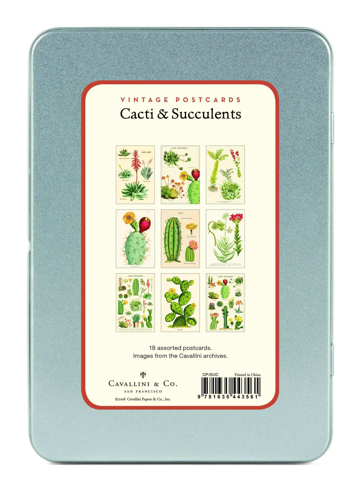Succulents Carte Postale Postcard Set