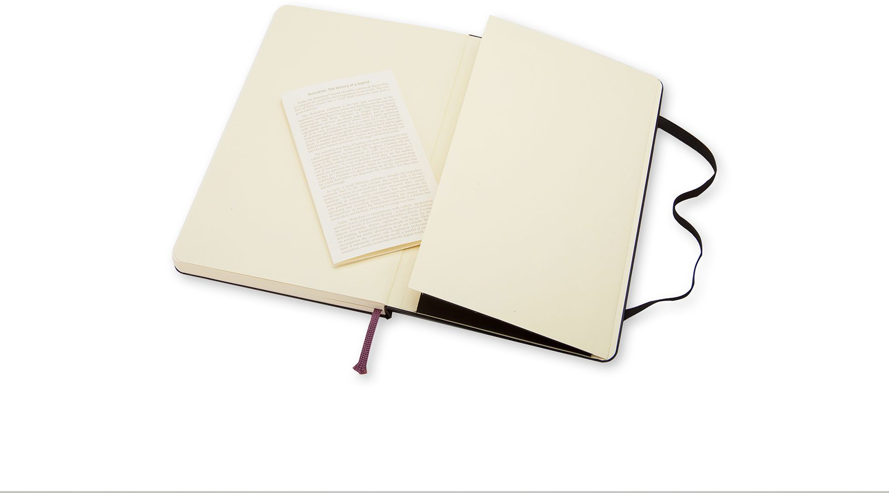 Moleskine Classic Notebook, Large, Plain, Black, Hard Cover (5 x 8.25)