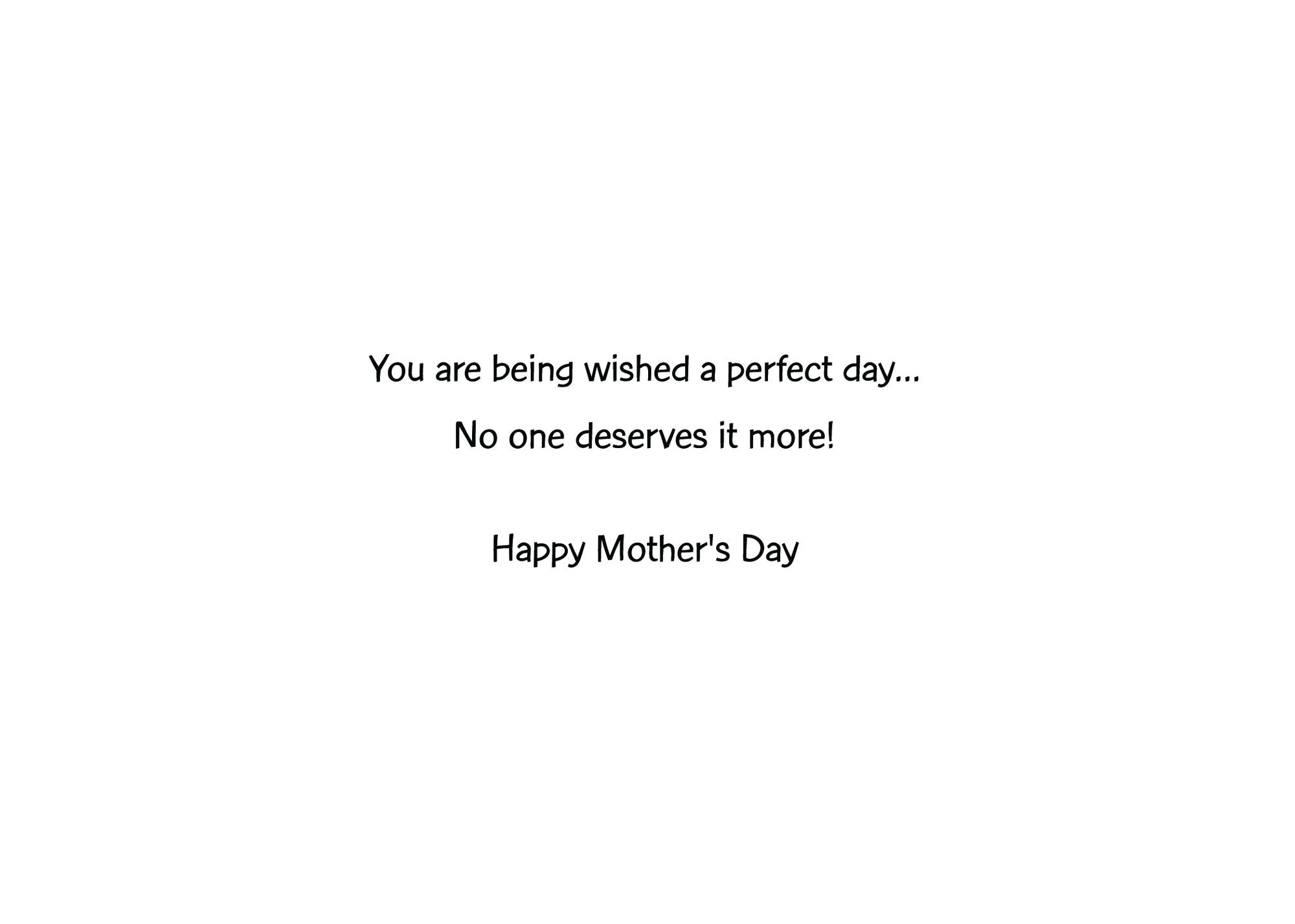 Mother's Day Greeting Card Mom In Bubble Bath With Wine Glass and Book