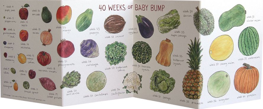 Baby Bump Accordian Greeting Card
