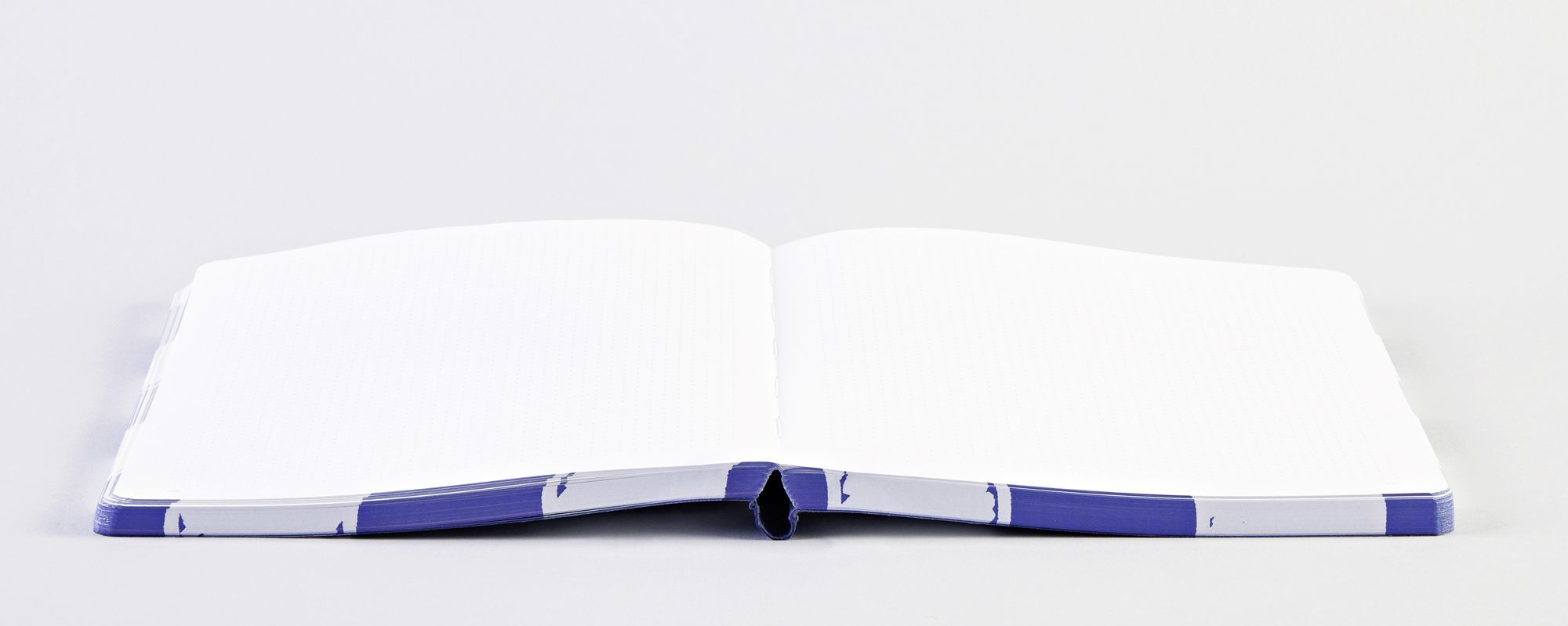 Cheeky Checks Journal