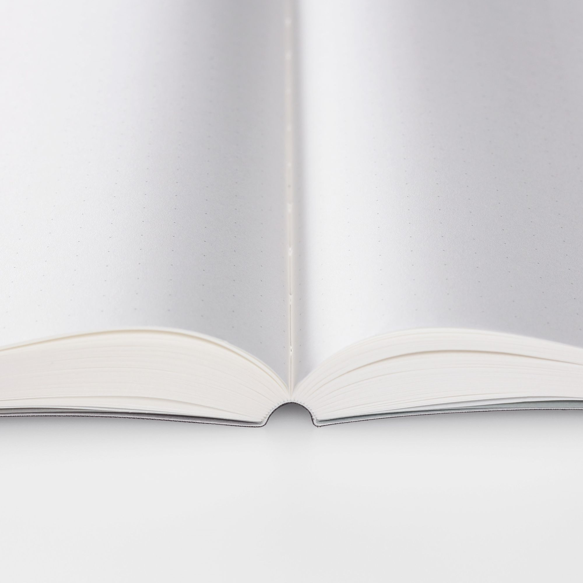 Blue 365 Days Notebook