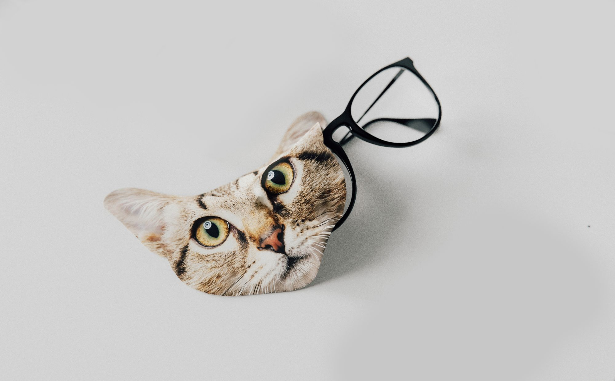 Cat Lens Cleaning Cloth