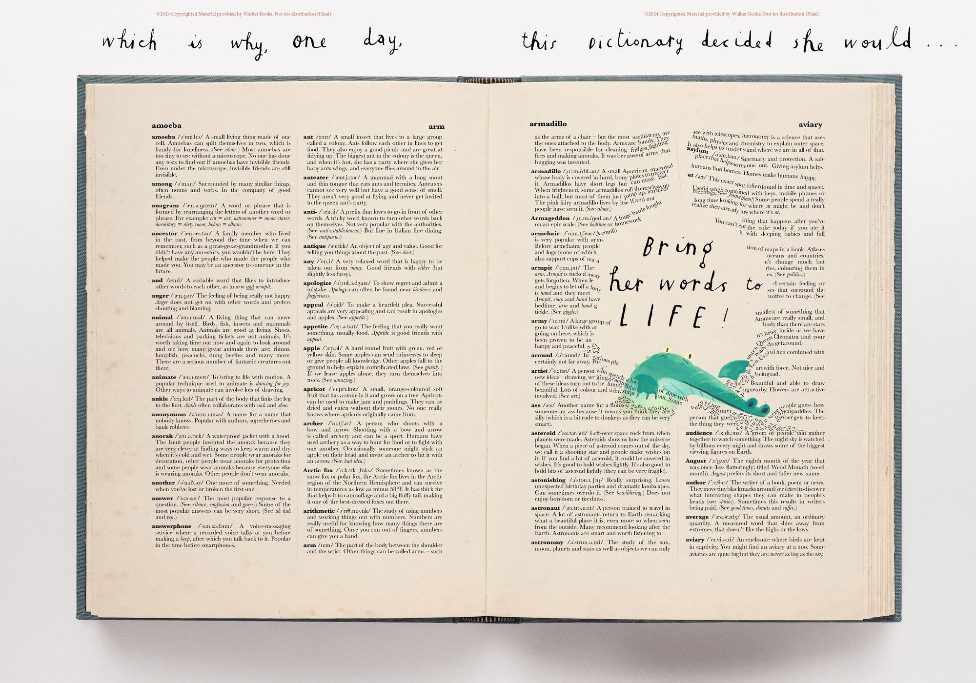 Dictionary Story
