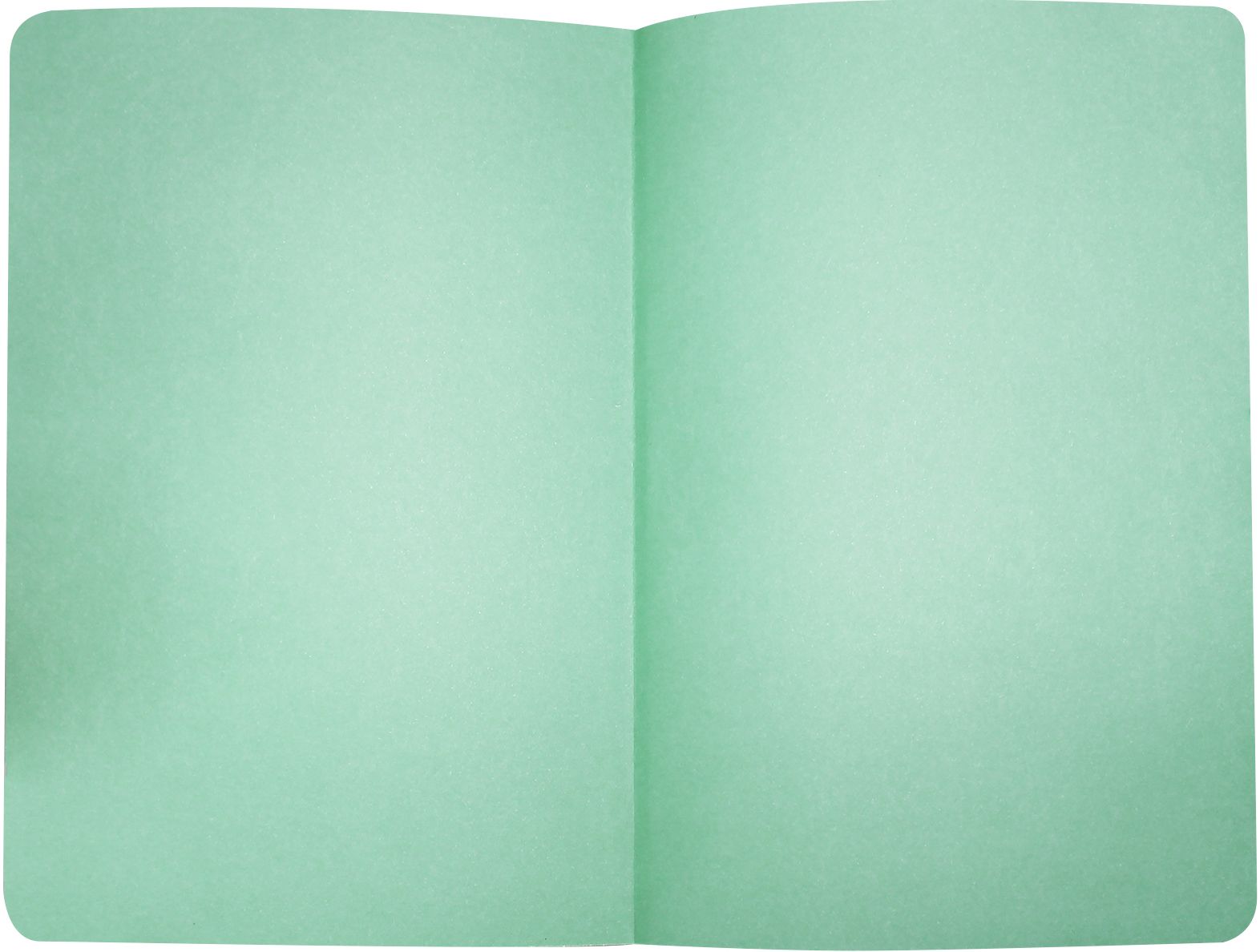 A5 Notebook (Softcover) - Moomin - Picking Flowers