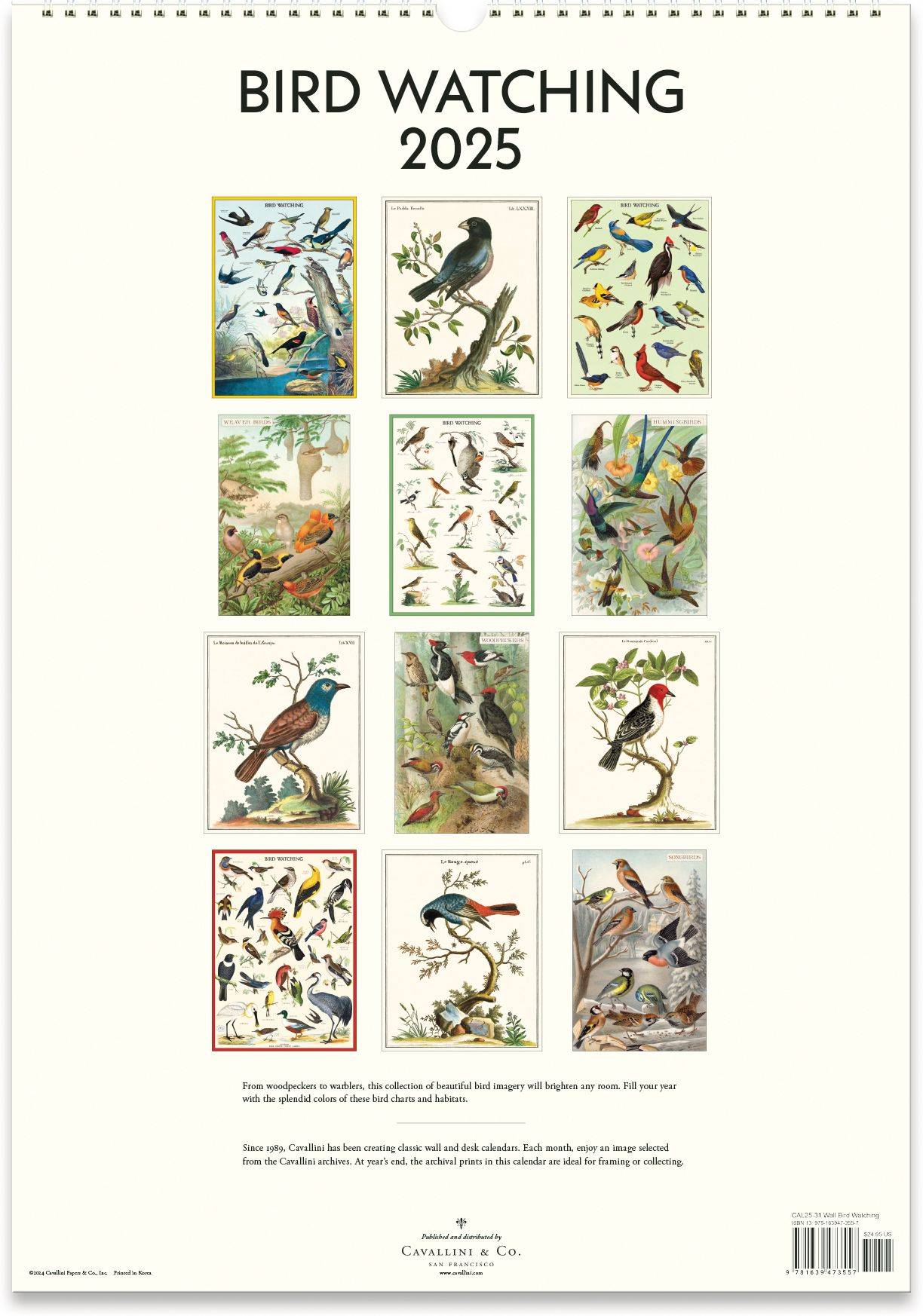 2025 Birdwatching Wall Calendar