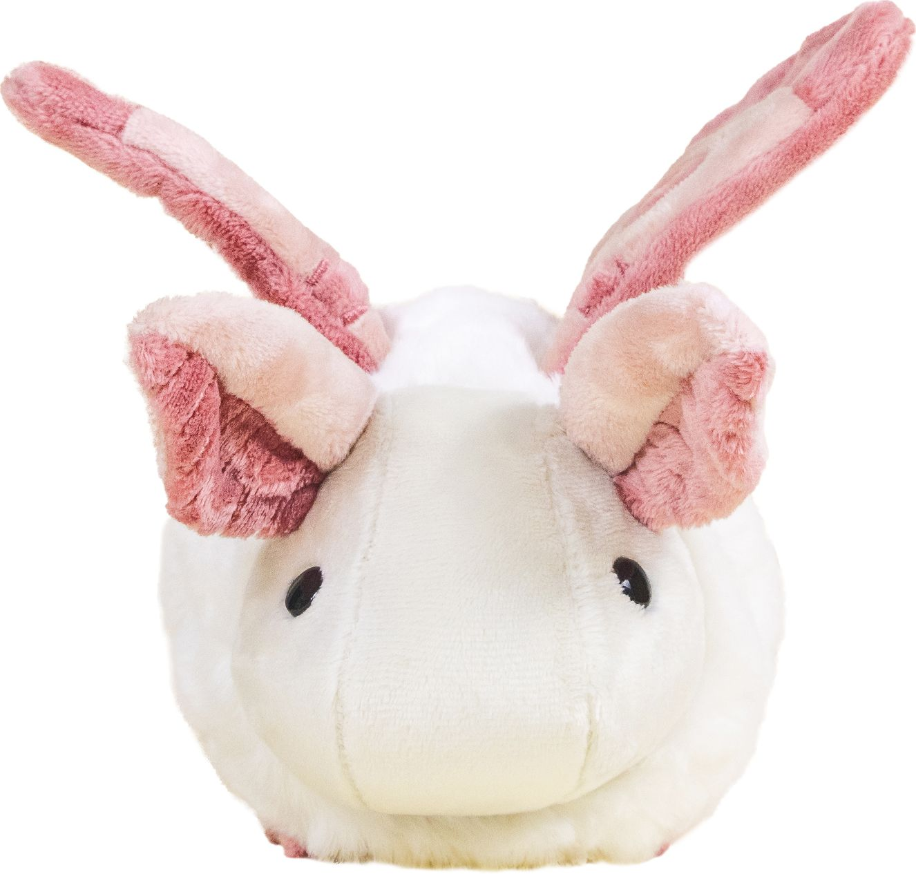 Mini Mothi the Moth
