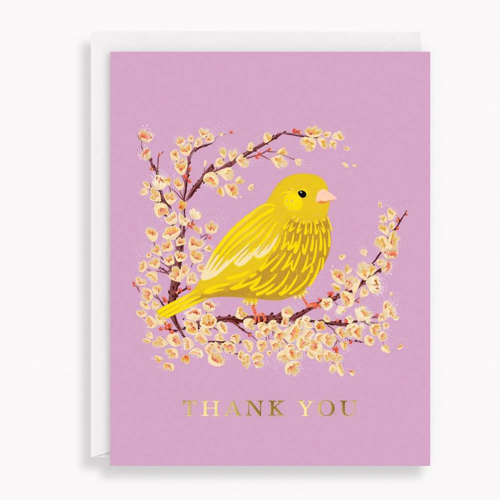Floral Birds Thank You Card Set