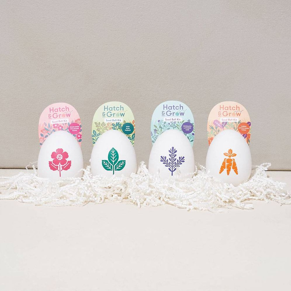 Egg Seed Kit