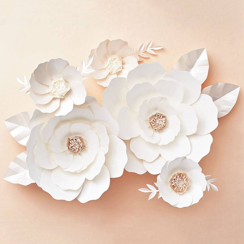 Paper Kits | Shop Unique Paper Crafts & Supplies | Paper Source