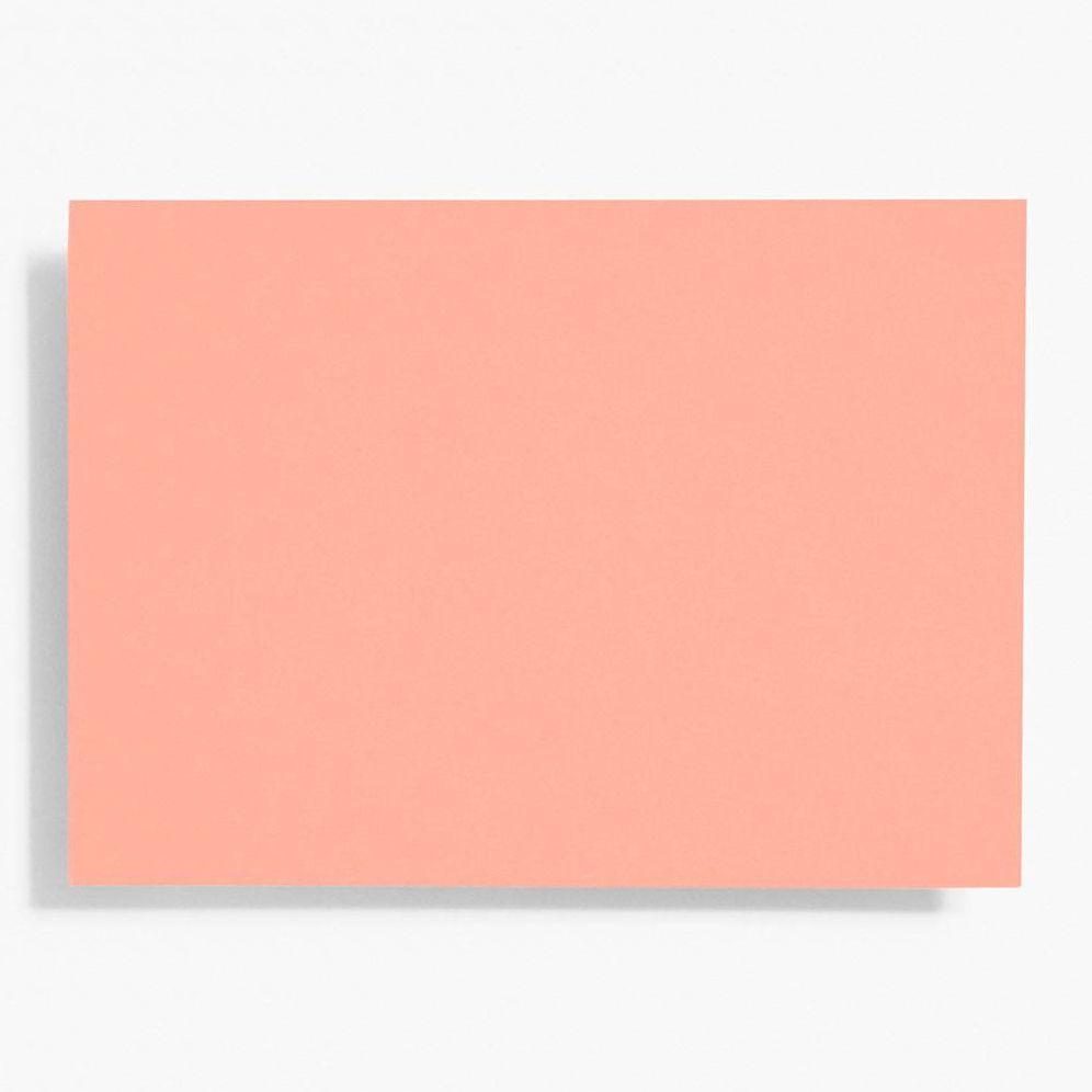 A6 Coral Note Cards | Paper Source
