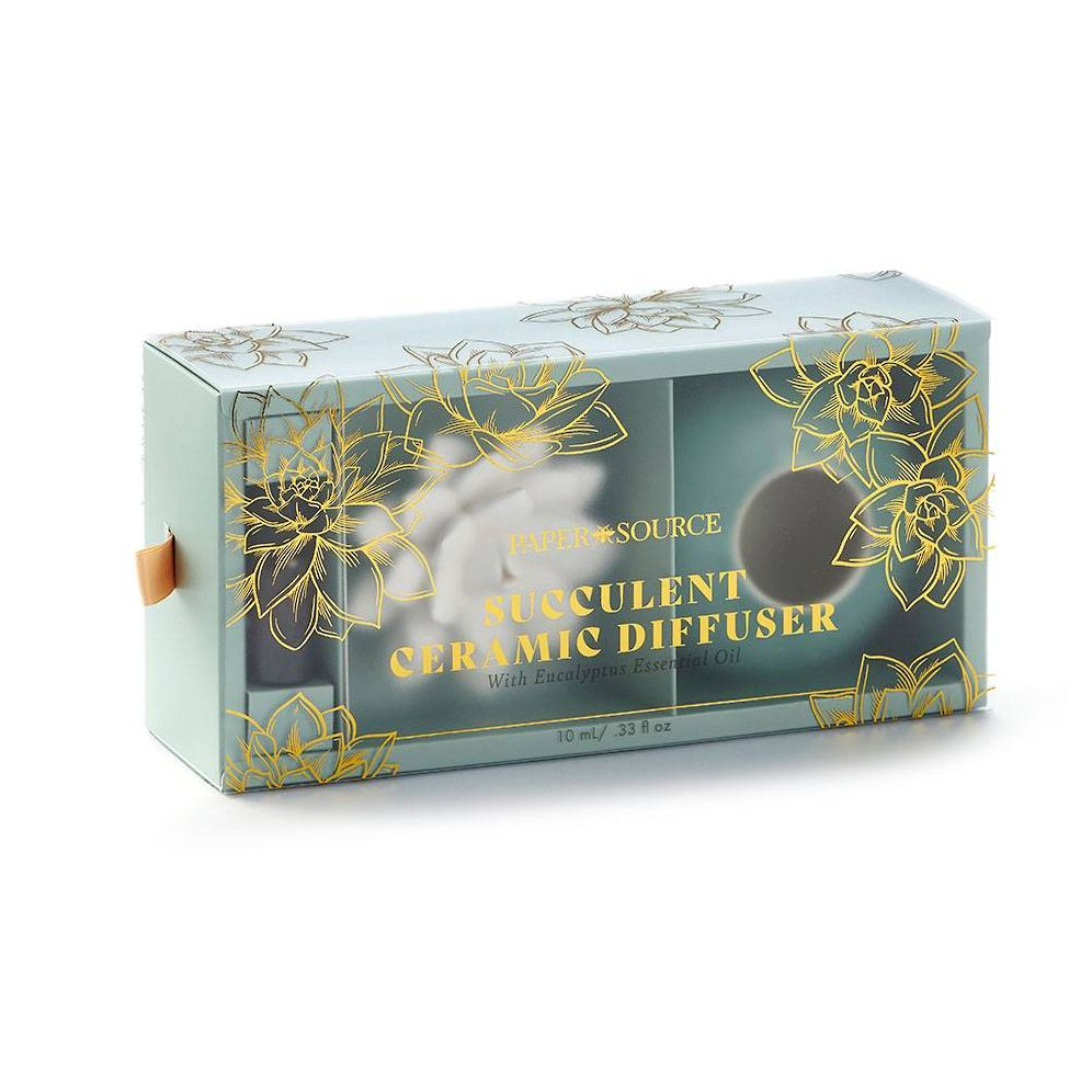 Ceramic Succulent Diffuser | Paper Source