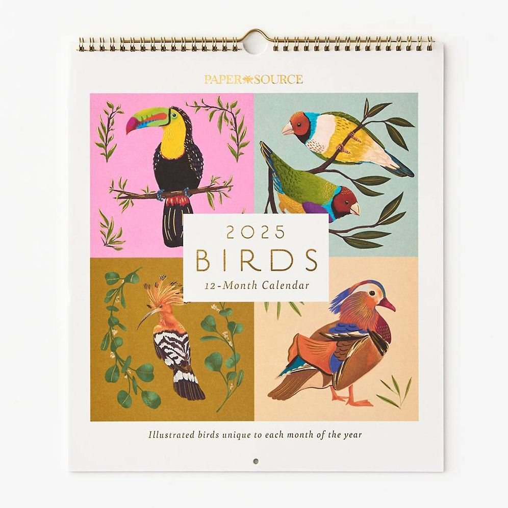 2025 Paper Source Bird Calendar Wall Calendar with Foil