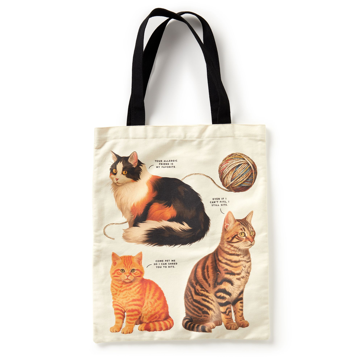 Moody Cats Canvas Tote | Paper Source display picture 2
