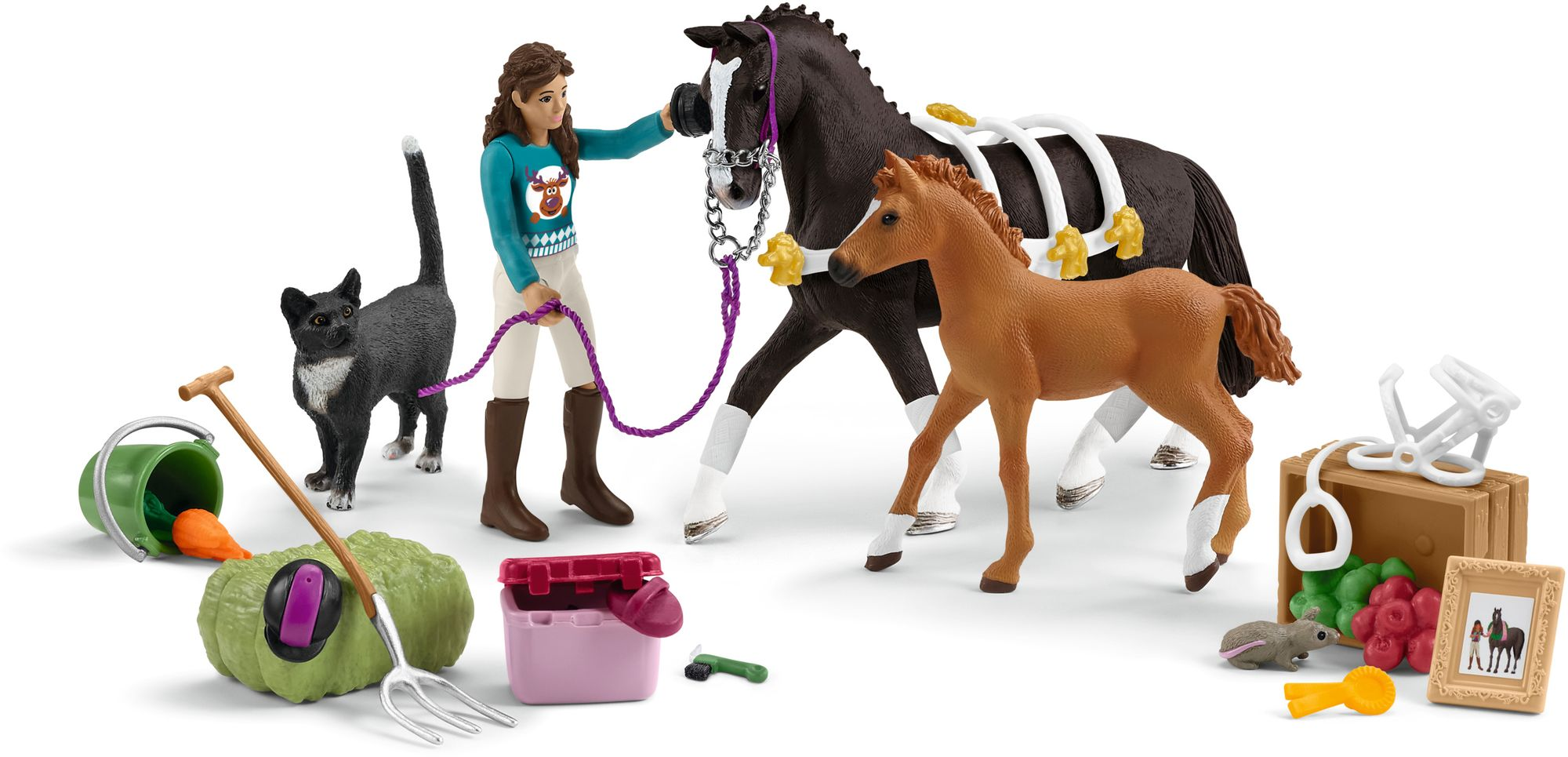 Horse Club Advent Calendar