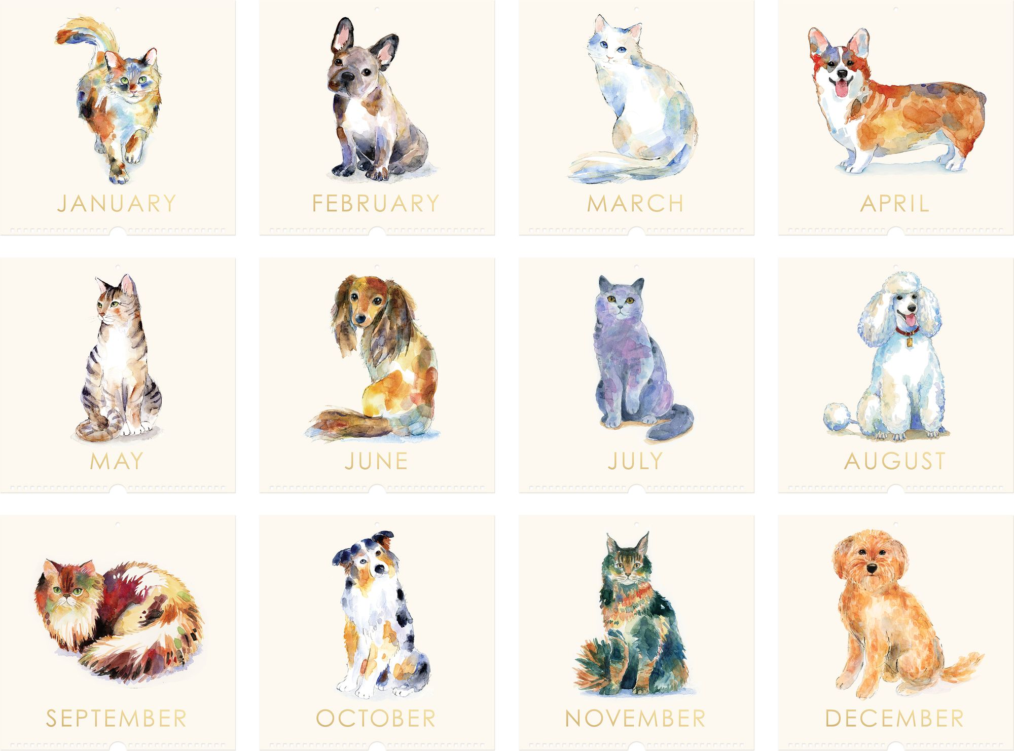 2025 Watercolor Pets Wall Calendar