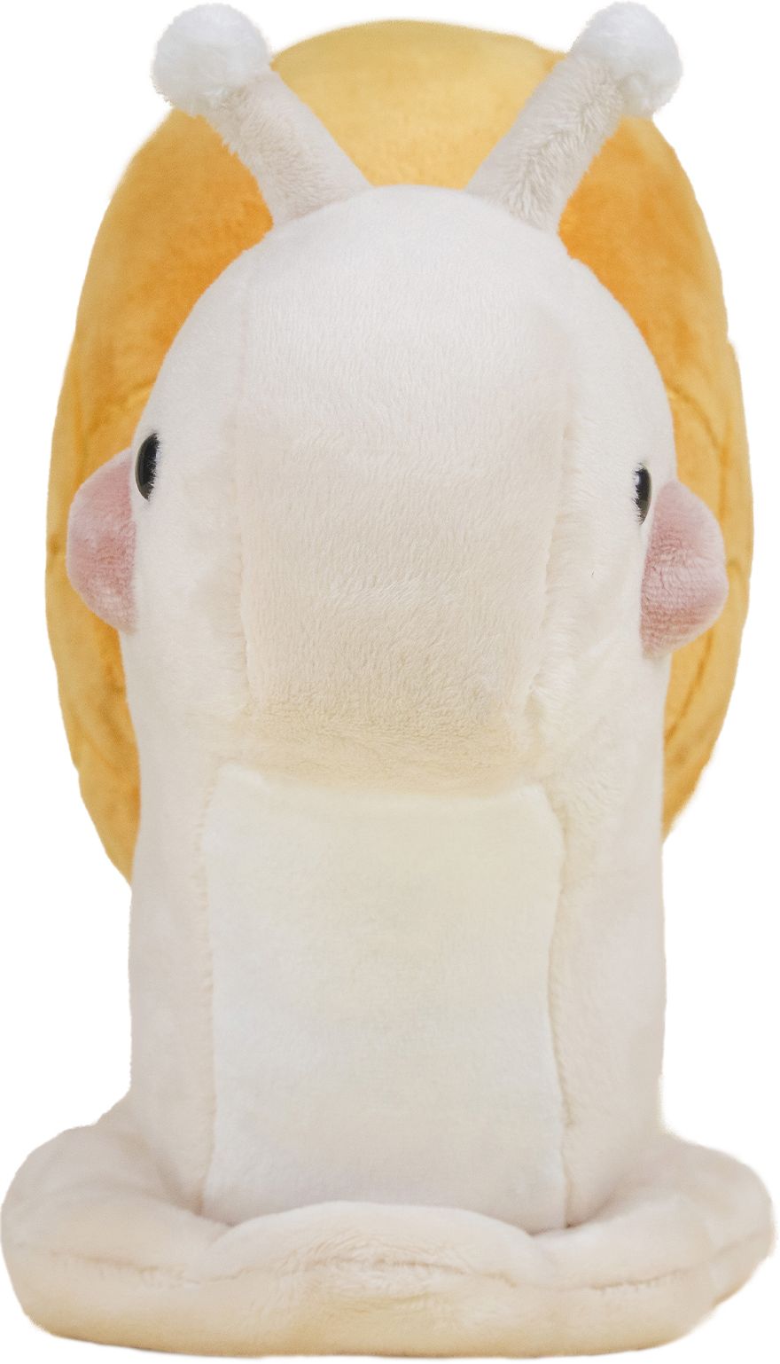 Snaili the Snail