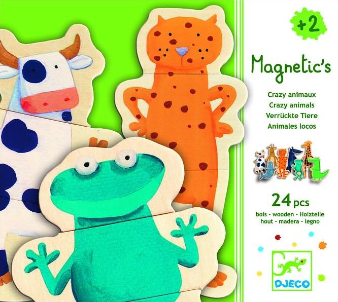 Wooden Magnets Crazy